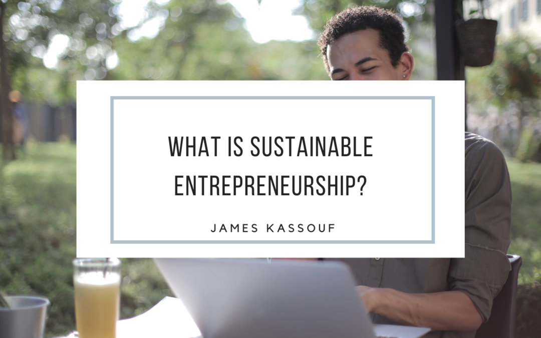 What is Sustainable Entrepreneurship?